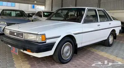 كرسيدا 1988 قمة النظافة 2