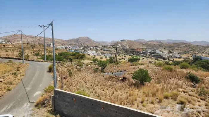 ارض زراعية بالسودة مع بيت مساحة 3863 0