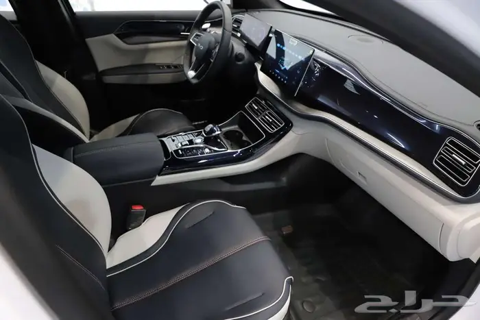 BYD QIN PLUS PREMIUM بي واي دي تشيين بلس 2024 8