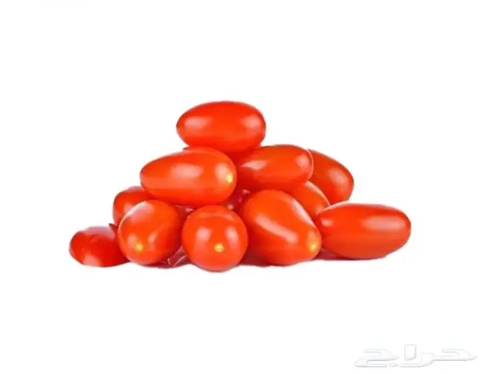 طماطم شيري احمر كرزي وبلحي طازجة من المزرعة مباشرة 1