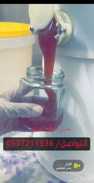 عسل الطلح البري طبيعي بإشراف سعودي 0
