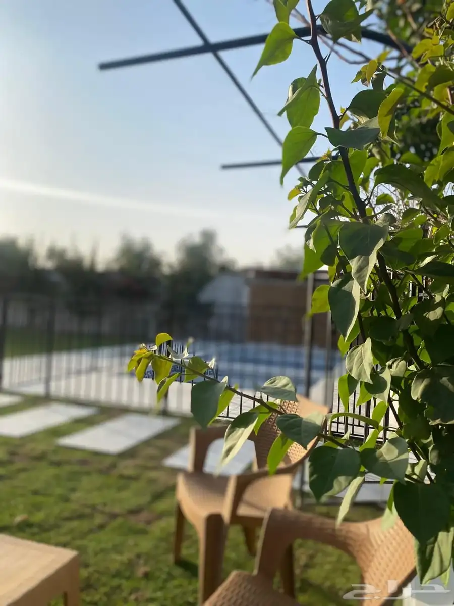 شاليه للإيجار اليومي بالخطه 1