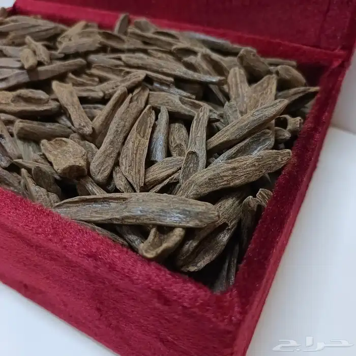 عود بخور كلمنتان فاخر وبياض وجه 8