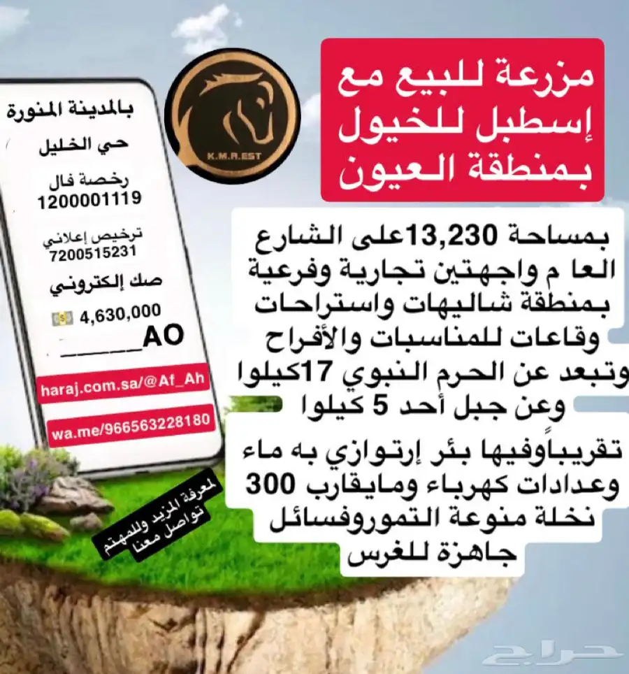 لمحبي مدينةرسولنا الحبيب مزرعة للبيع مع إسطبل وبعدة مميزات 3