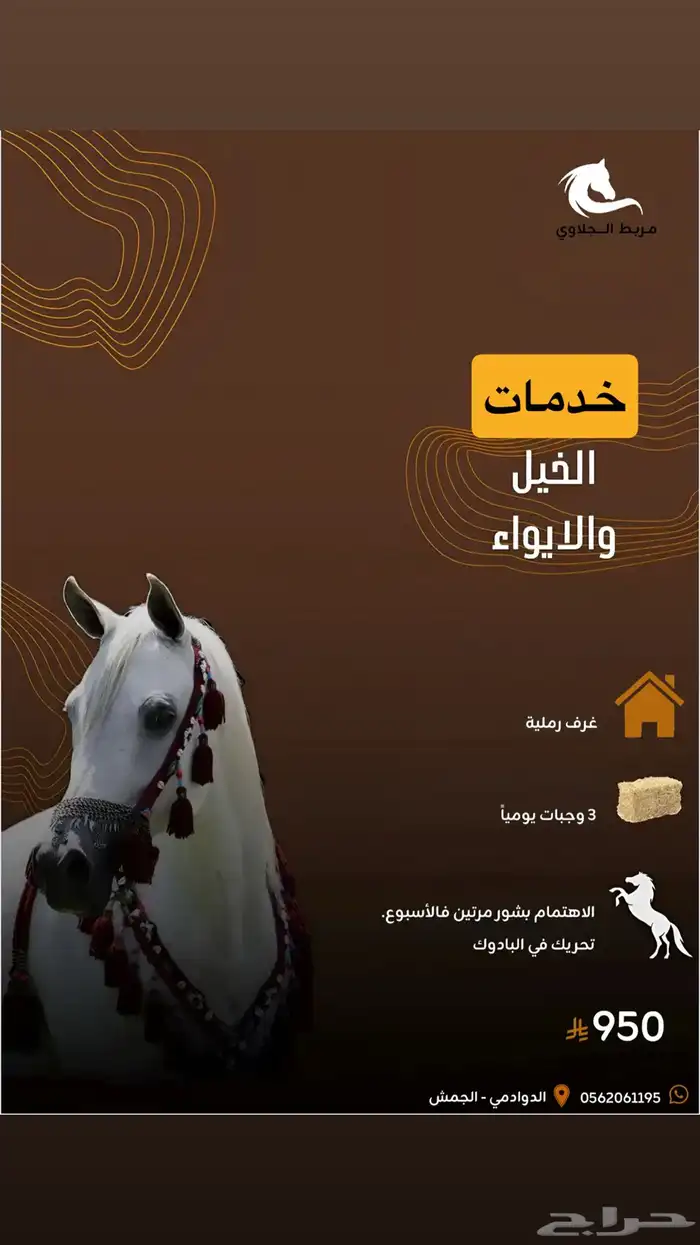 ايواء خيل بسعر مناسب 0