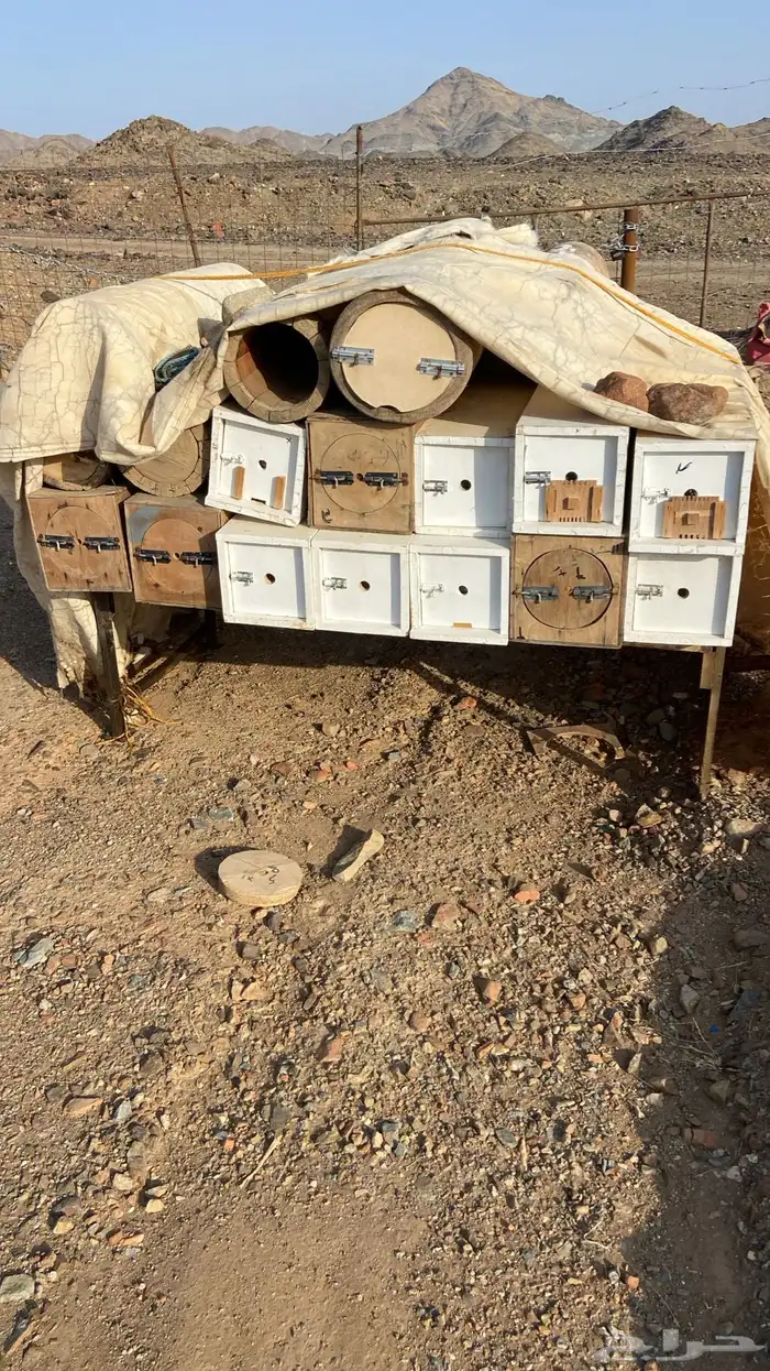 مكه المكرمه 0