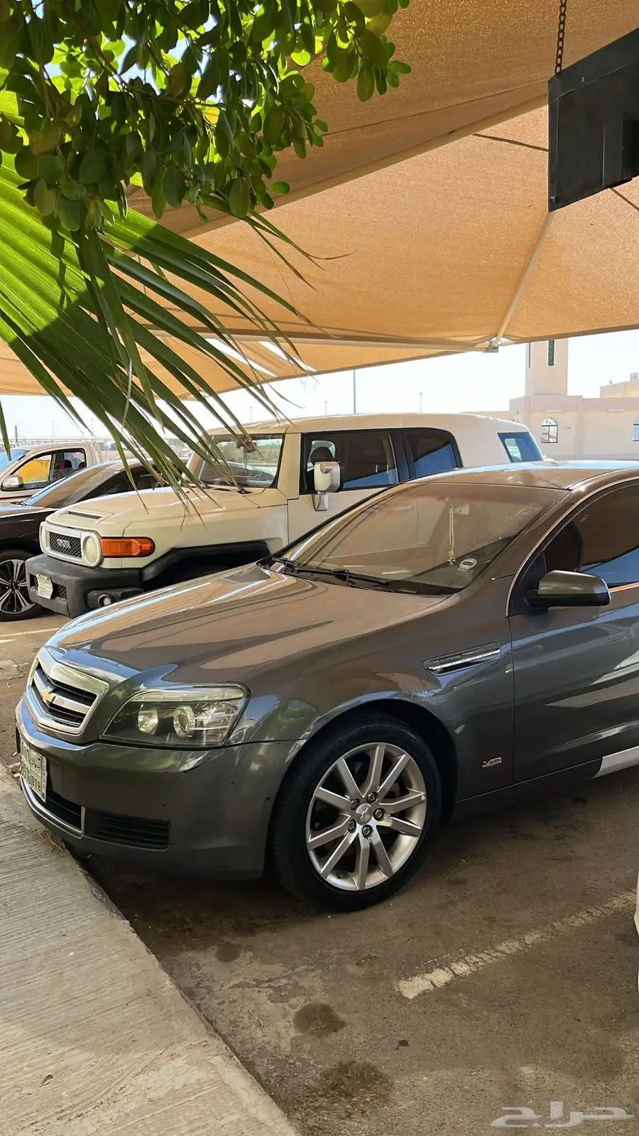 كابرس 2011 11