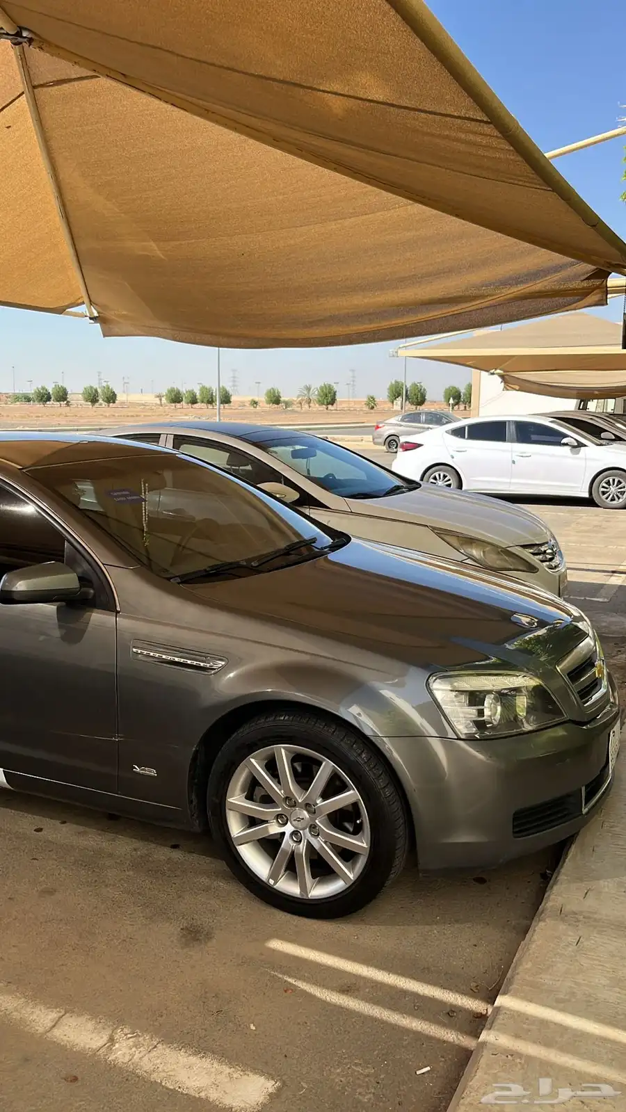 كابرس 2011 10