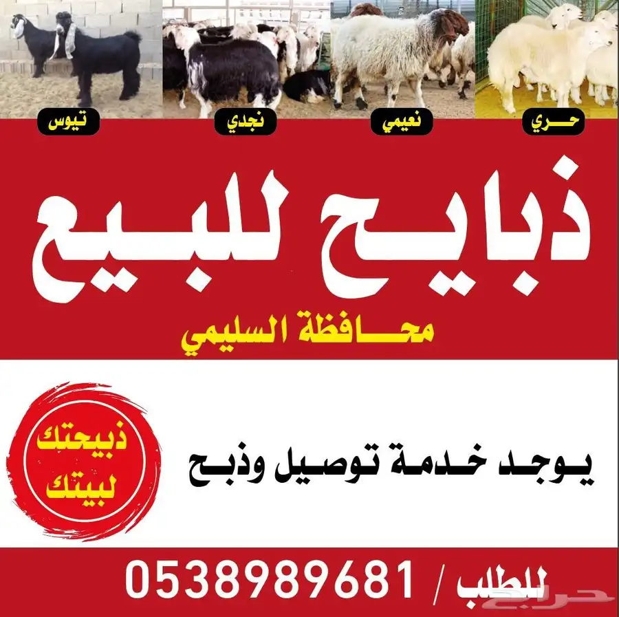 ذبايح للبيع 0