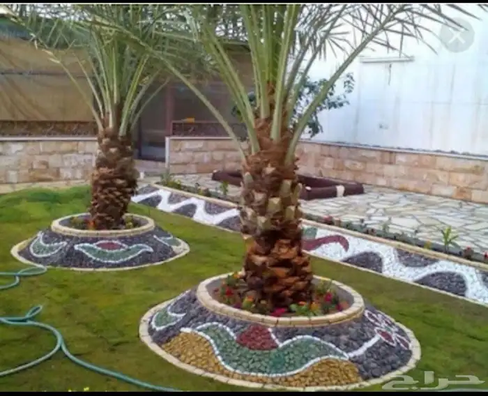 فني ديكورات 65