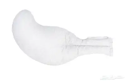 مخدة الحمل و الرضاعه ماركة جيكل 6