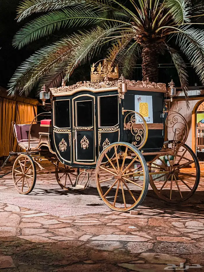 عربة خيل ملكيه 0