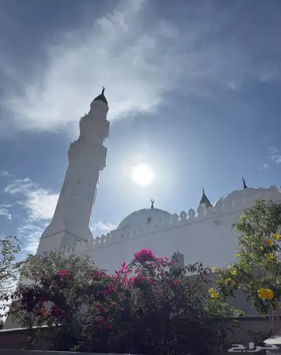 مرشد سياحي لزور المدينة 3