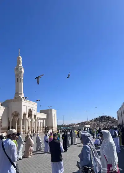 مرشد سياحي لزور المدينة 0