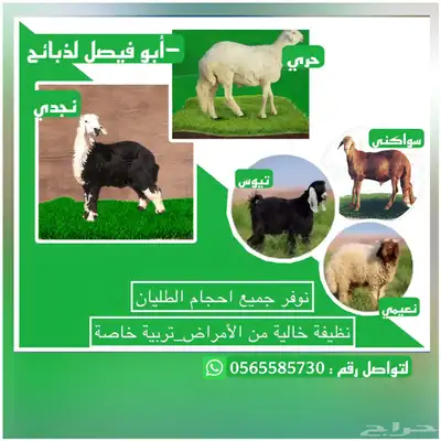 ذبايح 0