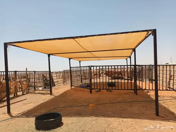 مضلات ابل 10