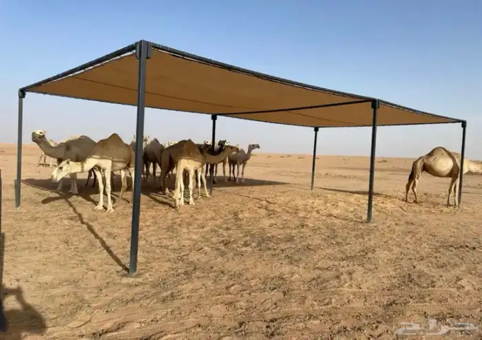 مطلات لابل 1