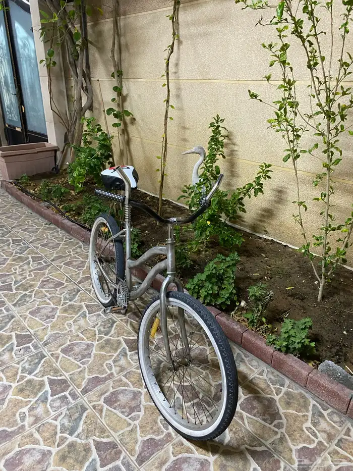سيكل فراشة معدل 2