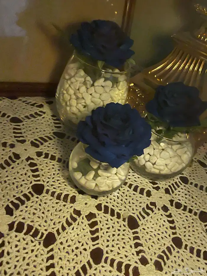 توزيعات تخرج 10
