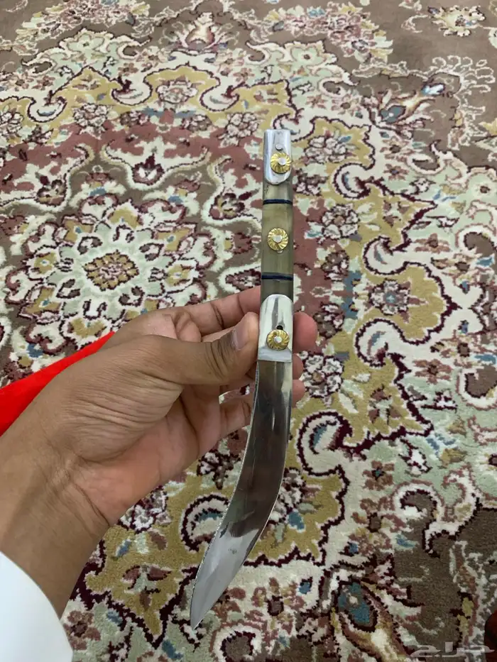 جنبية كفو 5