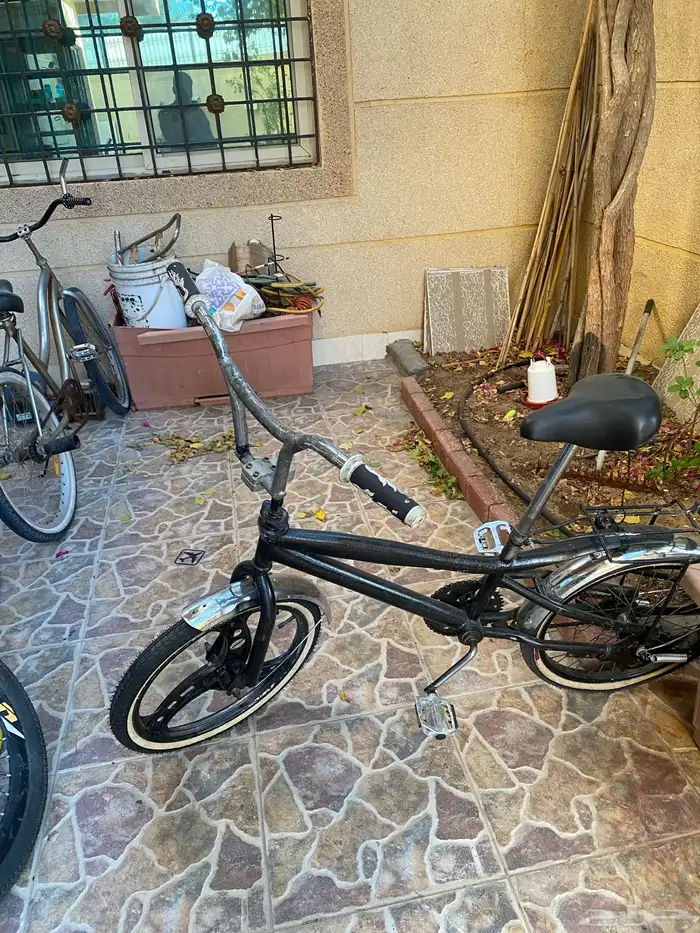 سيكل فراشة معدل 3