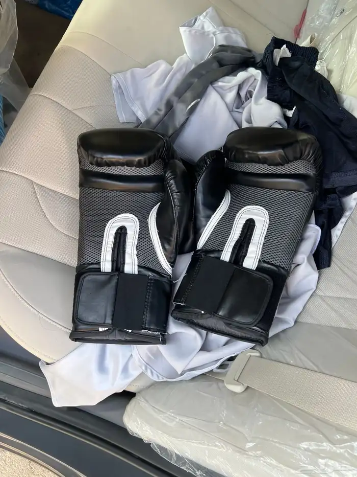 قفاز ملاكمه 0