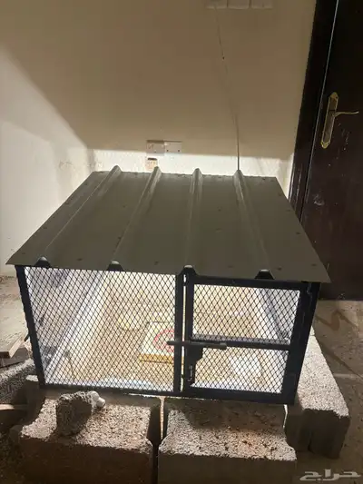 للبيع شبك طيور 1