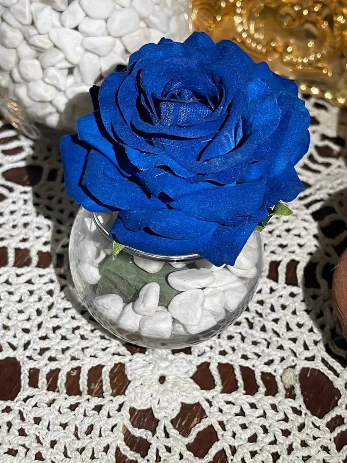 توزيعات تخرج 18