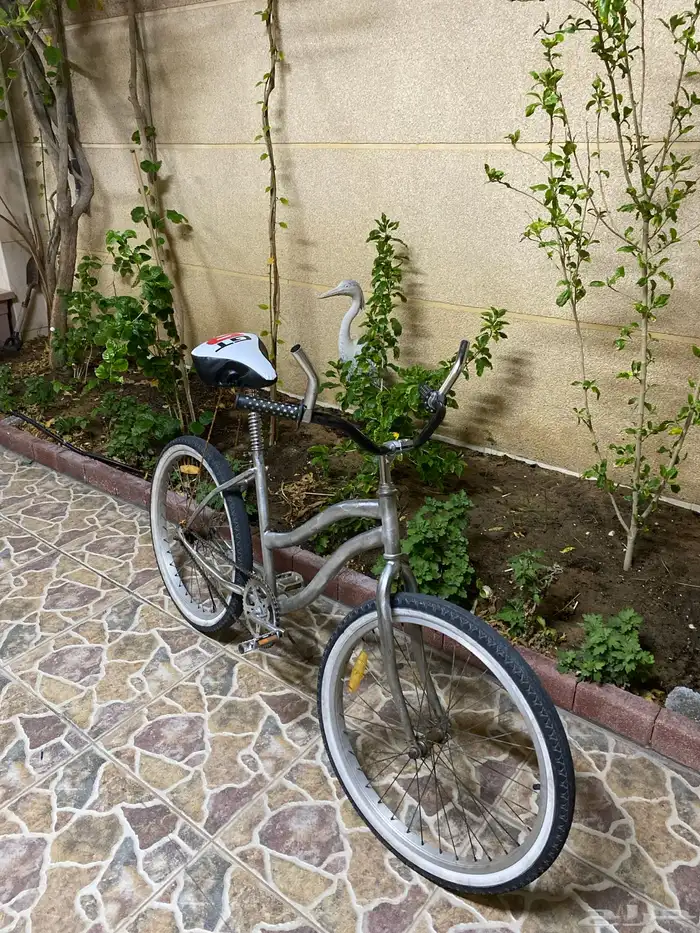 سيكل فراشة معدل 0