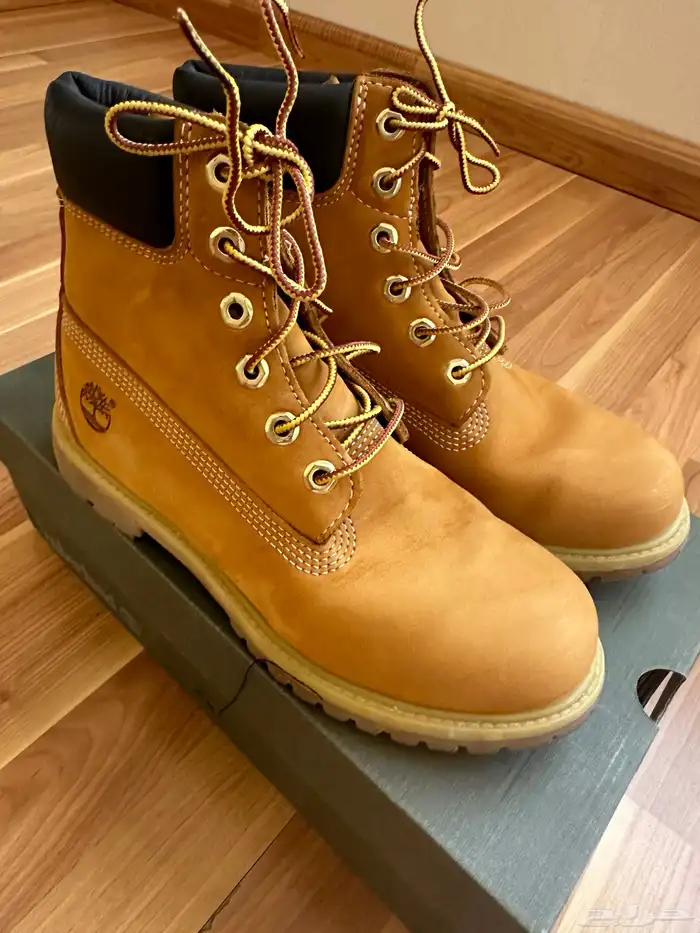 Timberland 1