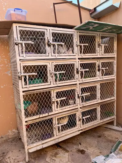 للبيع حمام فاخر من الآخر لعدم التفرغ 10
