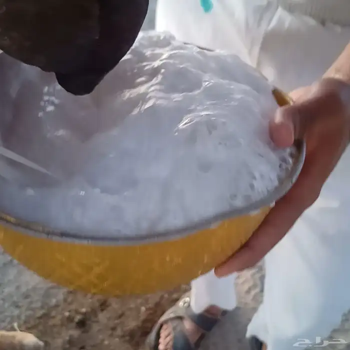الدهما بوادي الحمض تم البيع 1