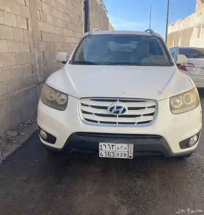 سنتافي 2011 اول مالك 3