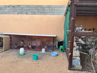للبيع حمام فاخر من الآخر لعدم التفرغ 6