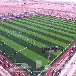 عشب جداري ارضي تنسيق حدائق تجهيز ملاعب إنجيله منسق حدائق 7