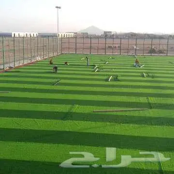 عشب جداري ارضي تنسيق حدائق تجهيز ملاعب إنجيله منسق حدائق 9