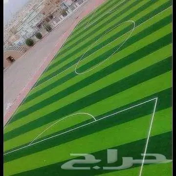 عشب جداري ارضي تنسيق حدائق تجهيز ملاعب إنجيله منسق حدائق 11