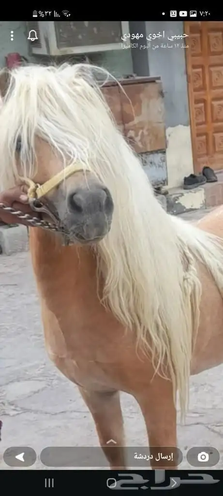 مطلوب سيسيات الي عنده يكلمني 0
