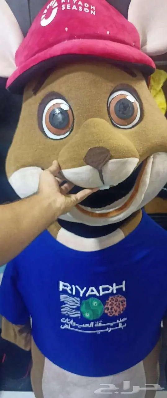 كنغر (Kangaro0) تمساح (Cr0codil3) حديقه حيوانات بالرياض 3