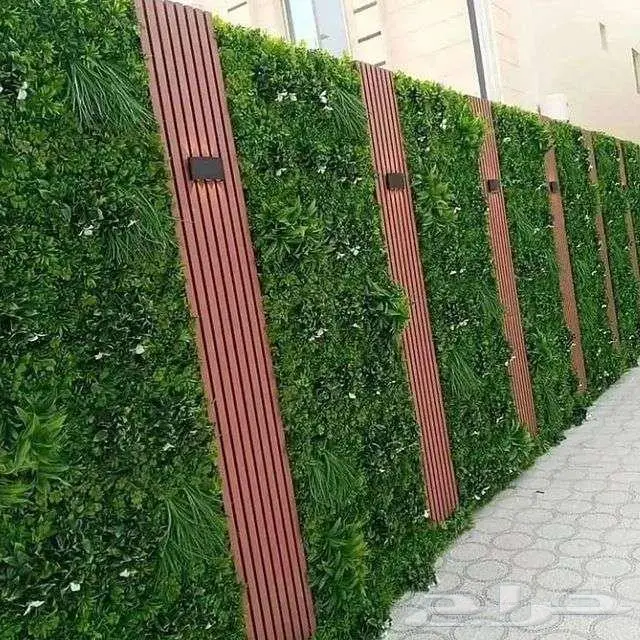عشب جداري ارضي تنسيق حدائق تجهيز ملاعب إنجيله منسق حدائق 12