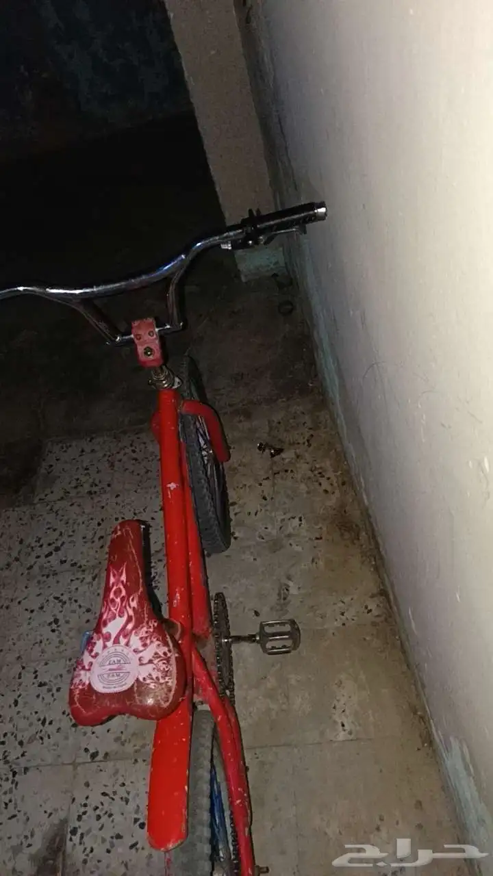 سيكل كوبرا 0