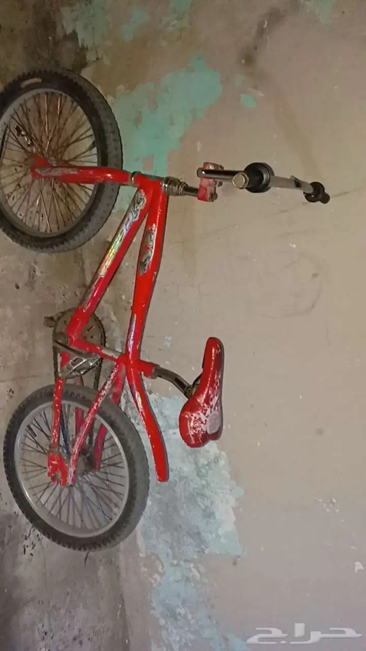 سيكل كوبرا 1