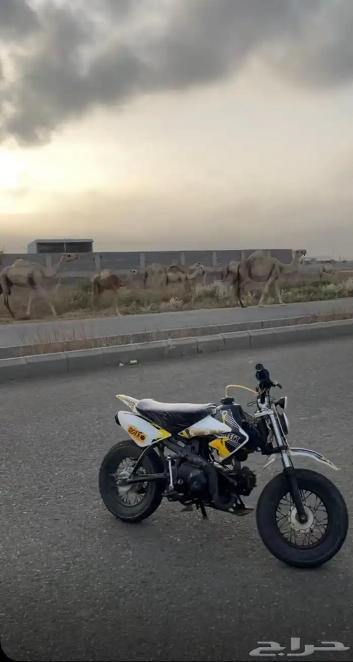 دباب 0