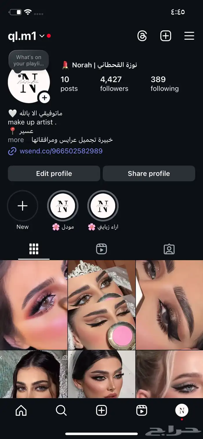 مكيب ارتست عسير اسعاري جدا رمزيه 0
