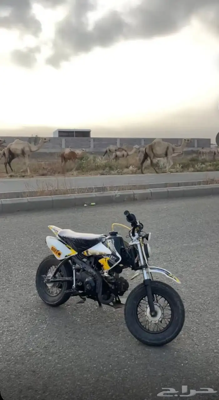 دباب 1