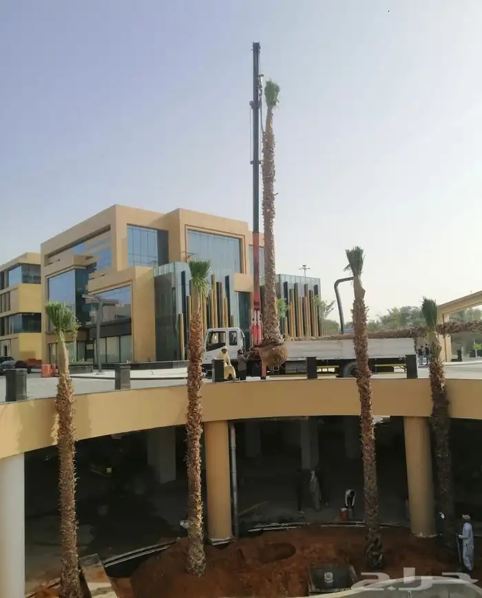 واشنطني جميع المقاصات 2