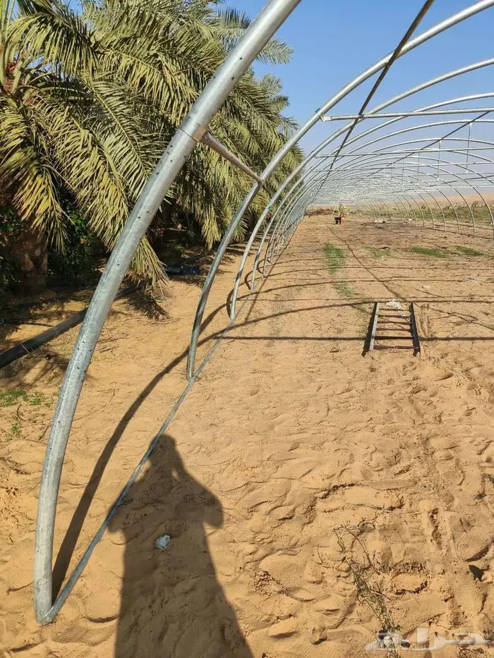 حديد بيوت محمية - جودة عالية وضمان 10 سنوات 3