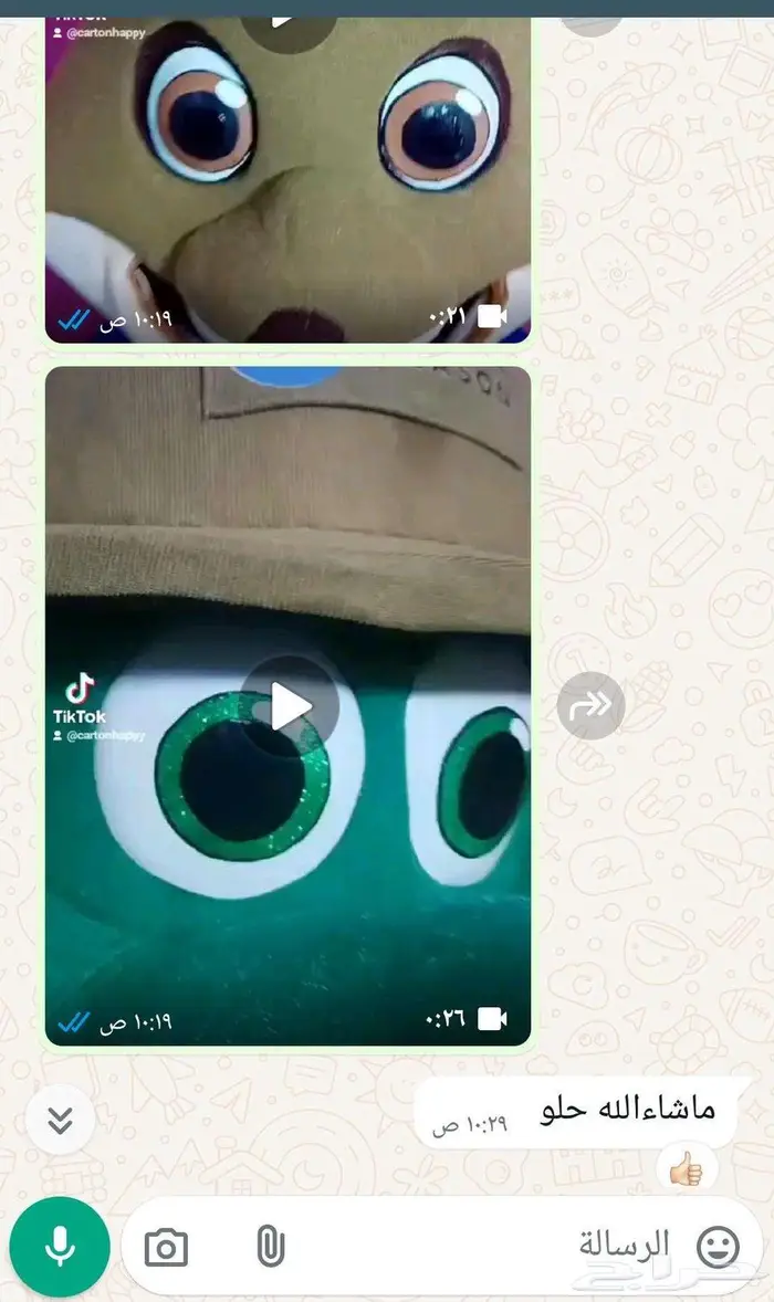 كنغر (Kangaro0) تمساح (Cr0codil3) حديقه حيوانات بالرياض 12