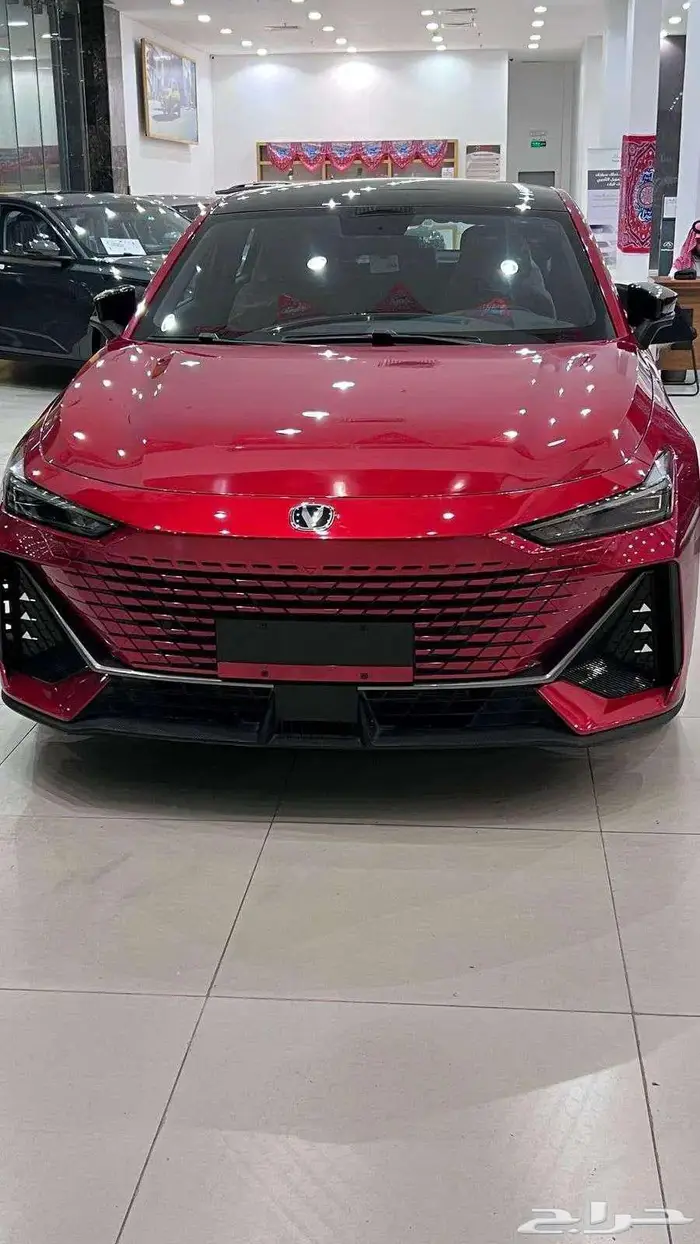 شانجان يوني في إليت 0