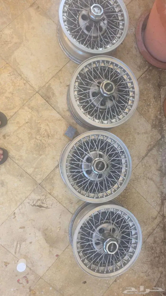 جنوط لنكون 2